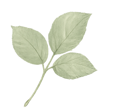 Watercolor leaf branch — tap to start talking